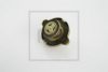 PE Automotive 019.512-00A Cap, radiator